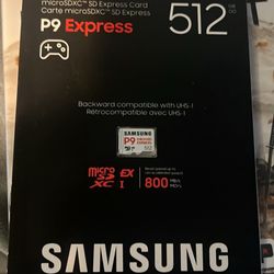 Samsung P9 express 512 GB Micro SD