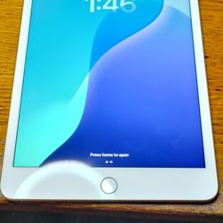 iPad Mini 5th Gen (2019) WIFI only