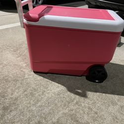 Igloo 38quart