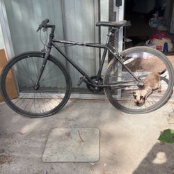 Retrospec Black BIKE 