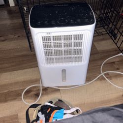 Dehumidifier For Basement 