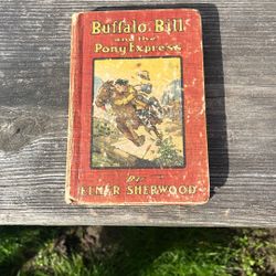 Buffalo Bill And The Honey Express Book