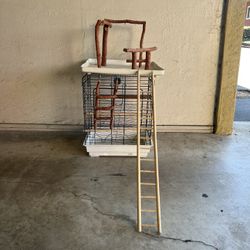 Bird Cage 
