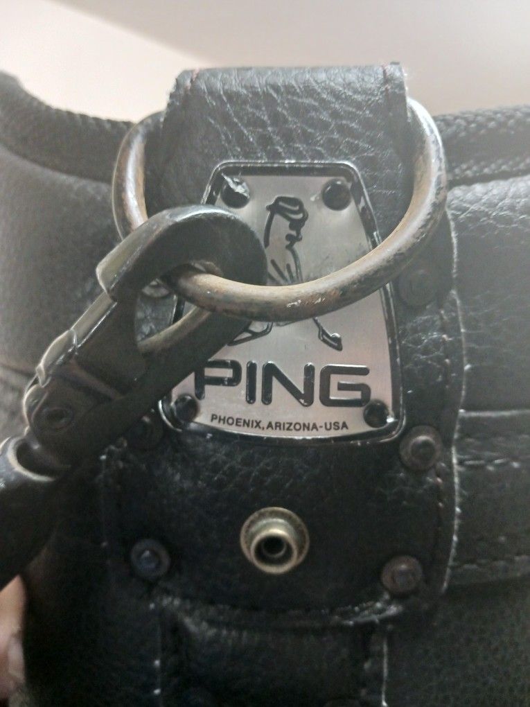 PING GOLF Tour Cart Bag Original Rain Cover STURDY EXCELLENT CONDITION