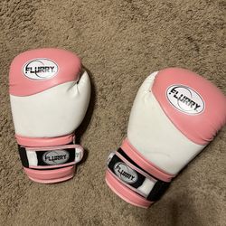 Boxing Gloves $25 