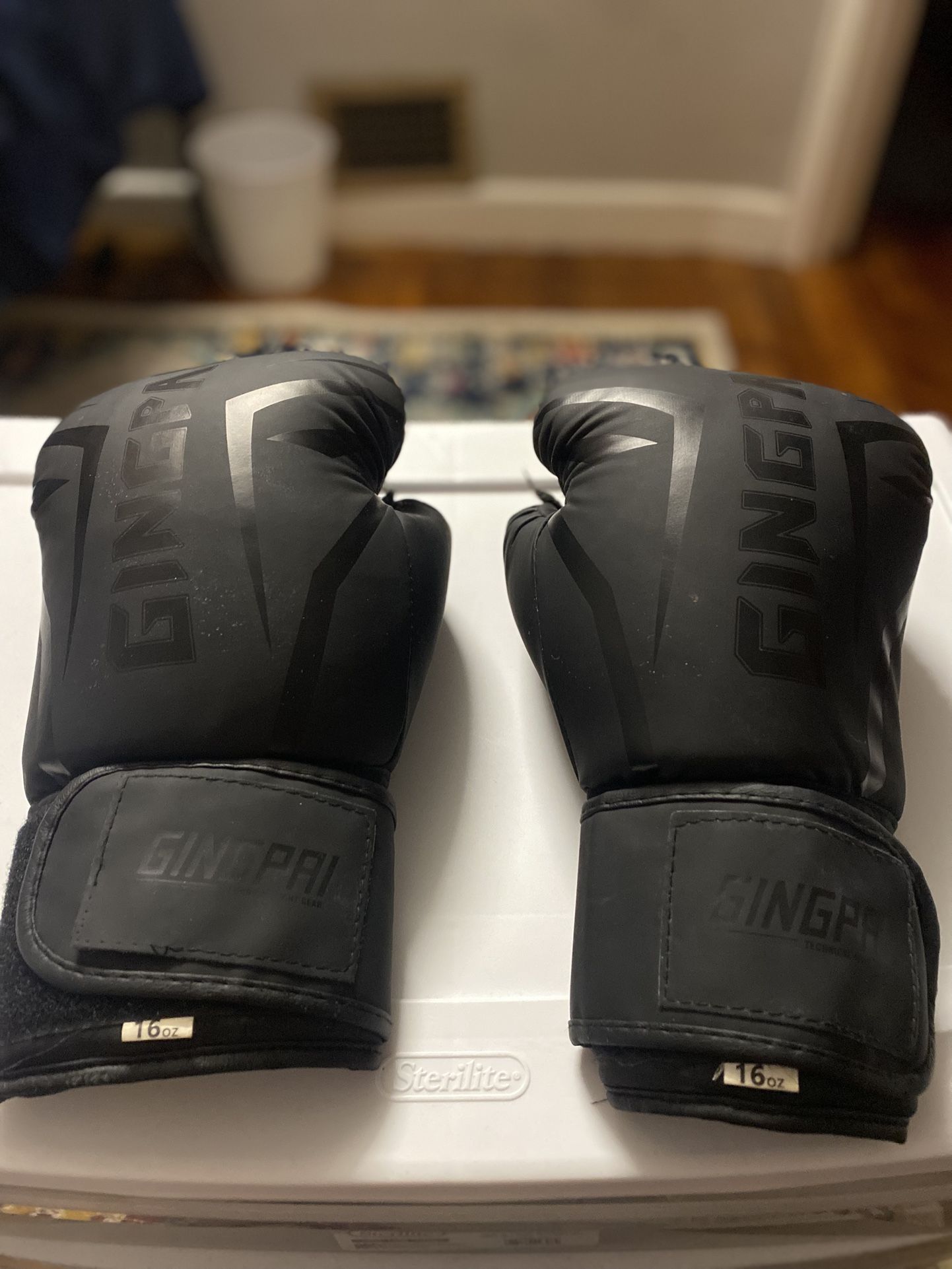 Boxing Gloves 16 Ounces