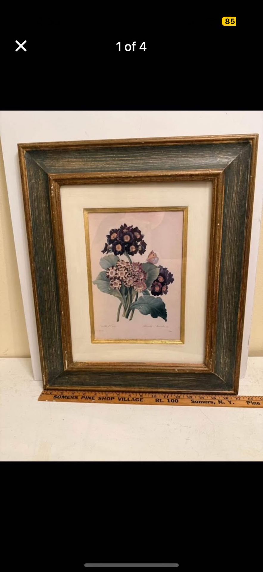 Botanical Print