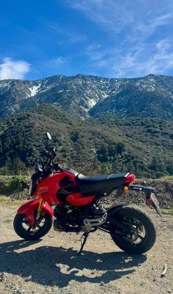 2025 Honda Grom