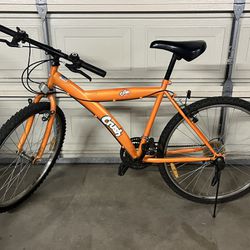 Custom Hybrid Bike - Orange Crush 20-inch