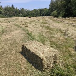 Hay For Sale!!