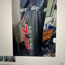 UFC Punching Bag