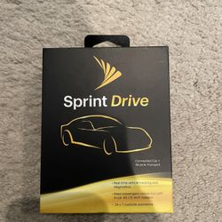 Sprint Drive