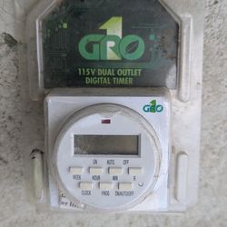 Digital timer