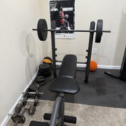 Bench press machine + Weights + Adjustable dumbbells