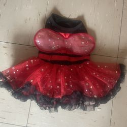 Disfraz De Catarina  (lady bug) M For Doc