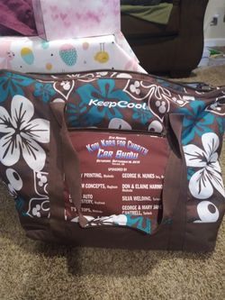 Nice bag keeps things cool brand new selling for 15.00