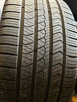 255-50-19 Pirelli