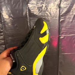 Jordan 14s 