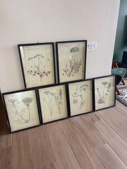 Napa Wildflower Floral Art