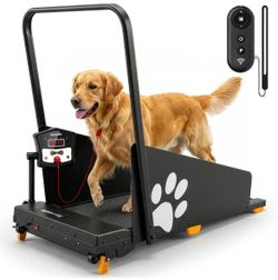 Dog Treadmill