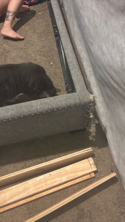free bed frame!