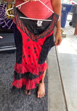Ladybug Costume