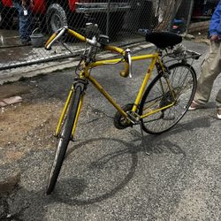 Original Schwinn Bike