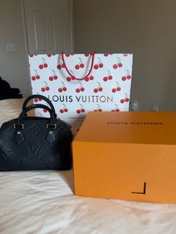 Louis Vuitton Speedy 20