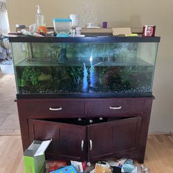 MAKE OFFER: 75 Gal Fish Tank Must Go!