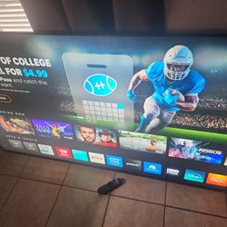 Vizio Pro 65" Tv!!