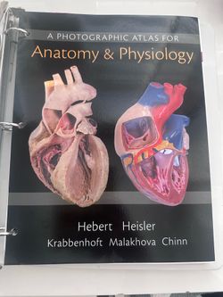 Anatomy and physiology