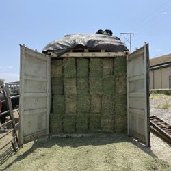New Shipment! Alfalfa Horse Quality Hay