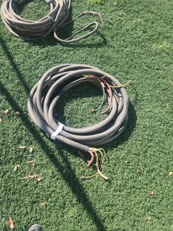 Electrical Cords