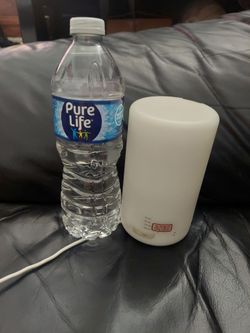 Humidifier and light