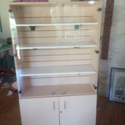 Sturdy Rolling Cabinet/Display Case