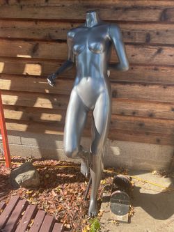 Manikin