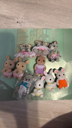 Mystery calico critter