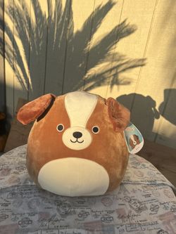 Bearnie Squishmallow