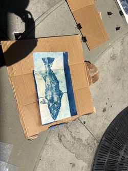 Fish art piece