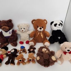 Soft & Cuddly Teddy Bears Lot
