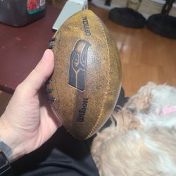 NFL Wilson 9"  Throw Back Football SEAHAWKS