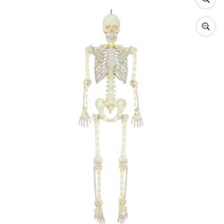 5ft Light Up Poseable Skeleton Decoration, Halloween Outdoor Decor, by Way To Celebrate