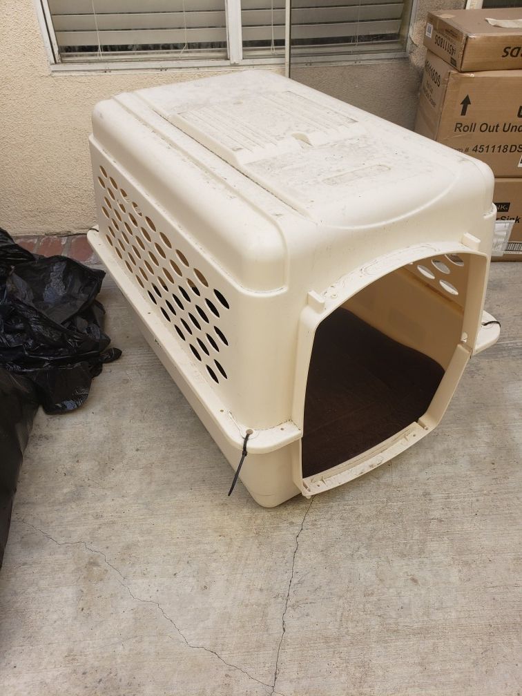 Large dog crate