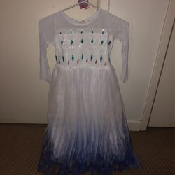 Elsa Costume 