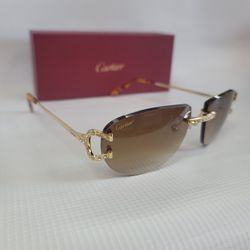 Cartier Sunglasses 💎 Big C 