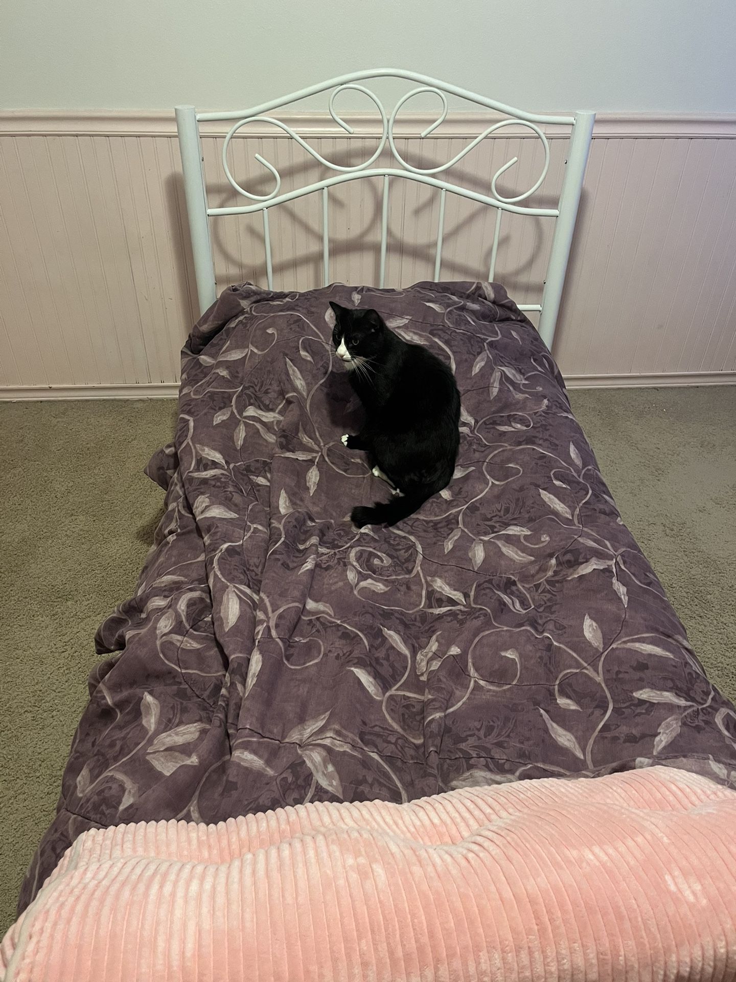 Twin Size Bed Frame / White Metal