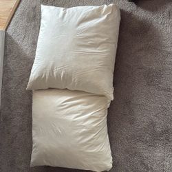 Free Euro Pillows
