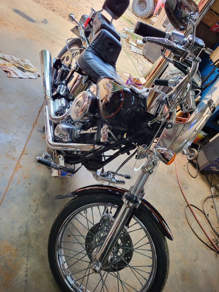 1995 Harley Davidson Softail Custom