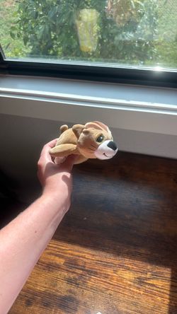 stuffed animal