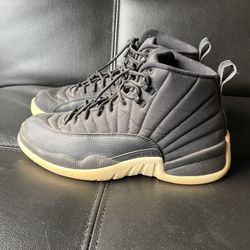 Jordan Nylon 12s